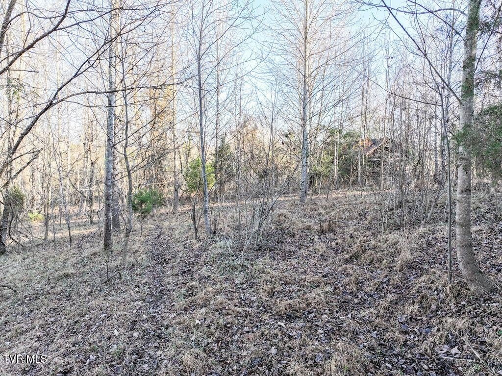 Picture 7