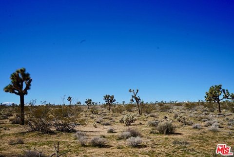 Exceptional Yucca Valley Desert Land