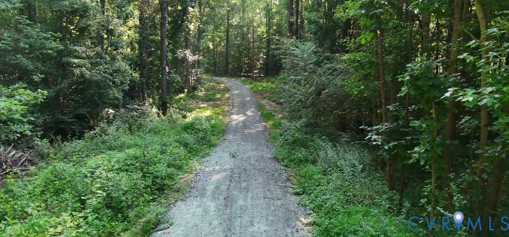 Picture 7