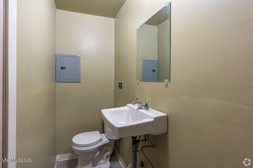 Picture 6