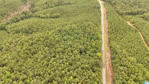 LAND/LOTS, FRUITHURST, AL