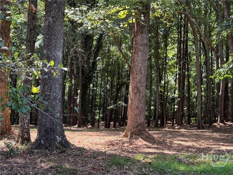 Land, Athens, GA