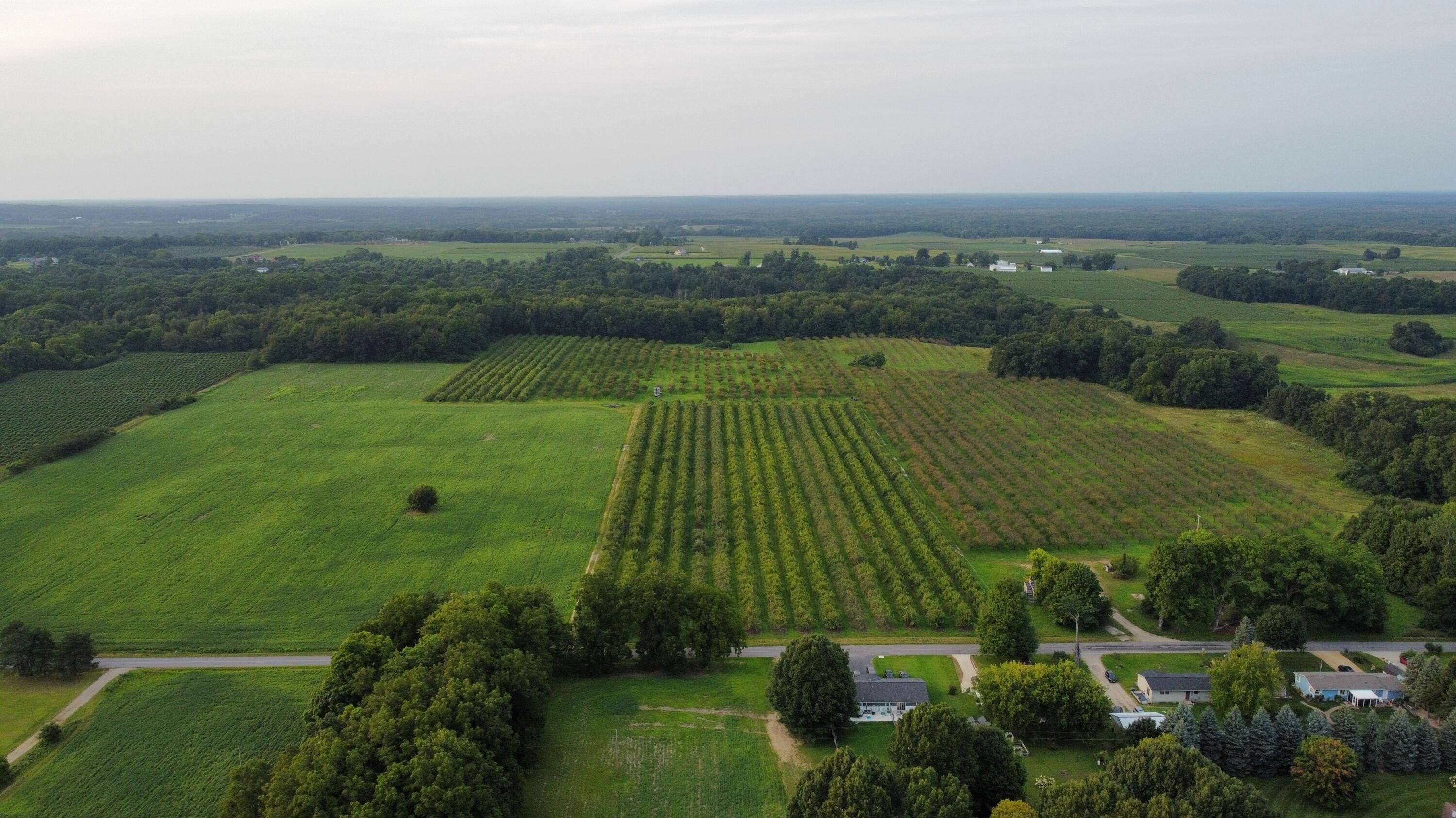 Vacant Land Near Lake Cora