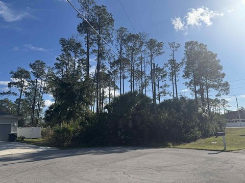 Residential Lot in Palm Coast