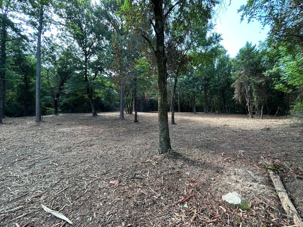 Picture 17