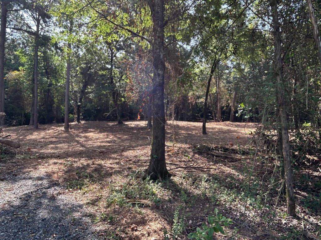 Picture 19