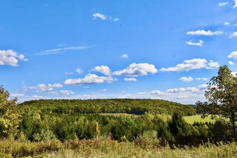 20 Acres Hunting Land, Addison