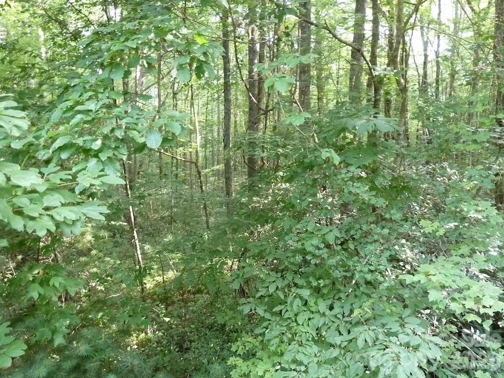 Picture 30