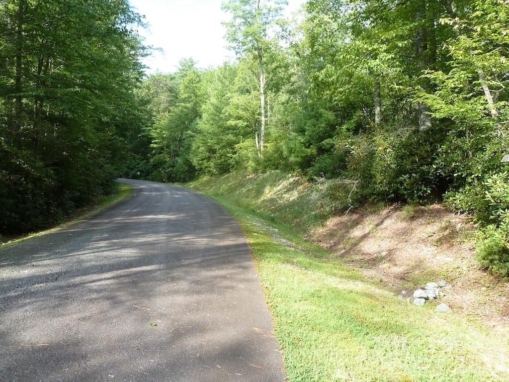 Picture 38