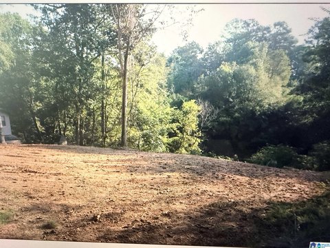 LAND - BESSEMER, AL