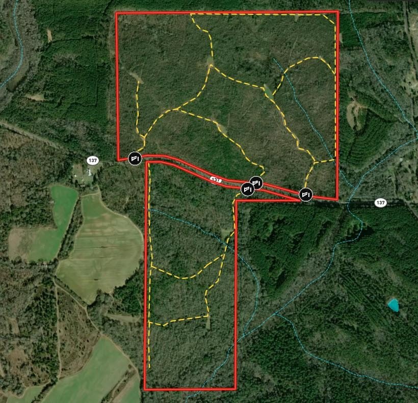 Recreational Land Near Buena Vista