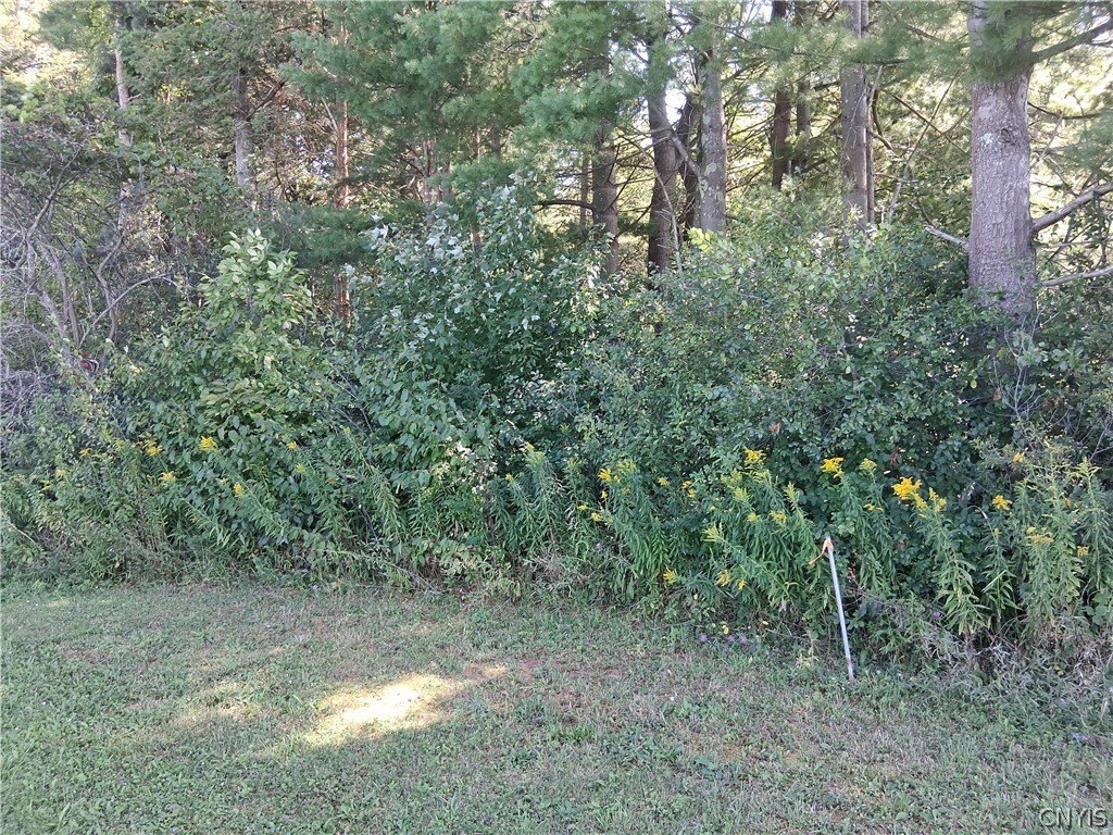 Picture 2