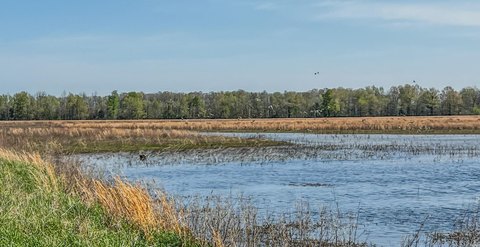 Arkansas Legacy Property on Black River