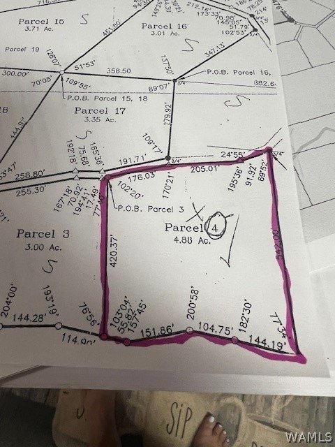 Picture 9