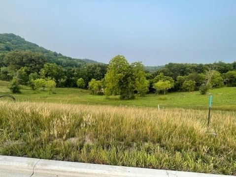 Residential Lot with Grand Views
