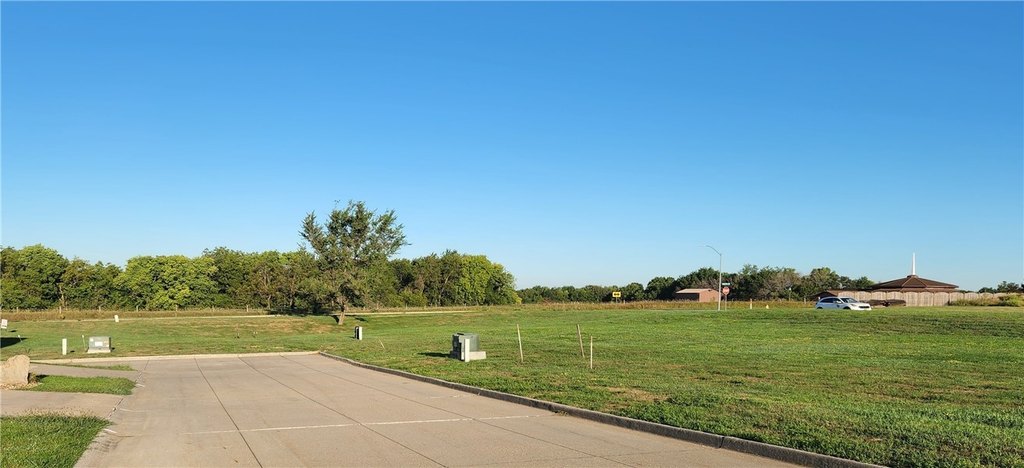 Picture 4