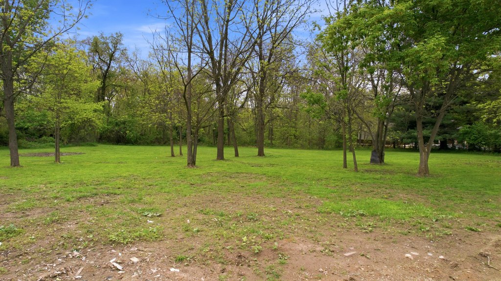 Picture 15