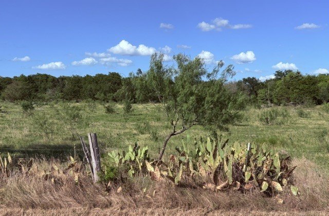 Picture 9