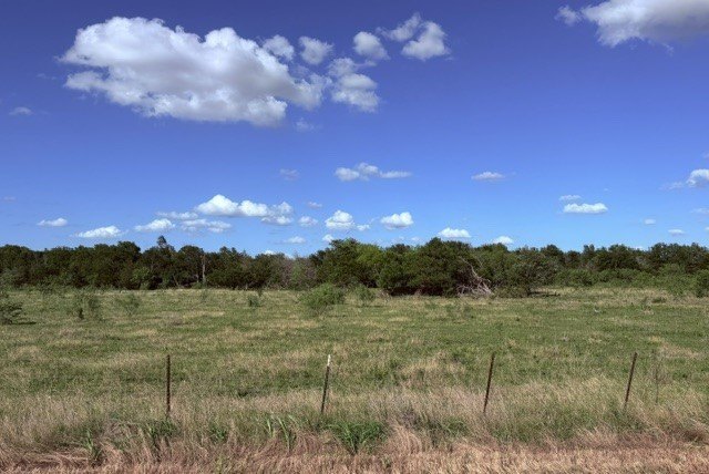 Picture 7