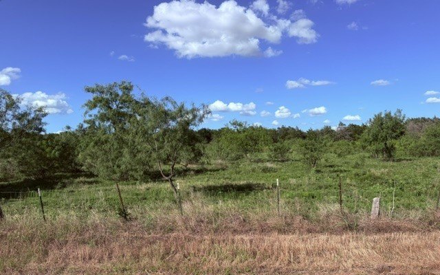 Picture 11