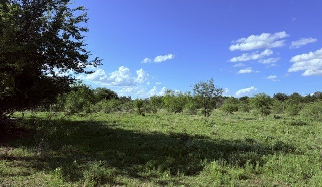 Picture 4