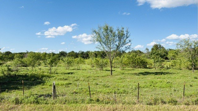 Picture 12