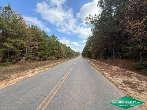 Timber Plantation Hunting Land