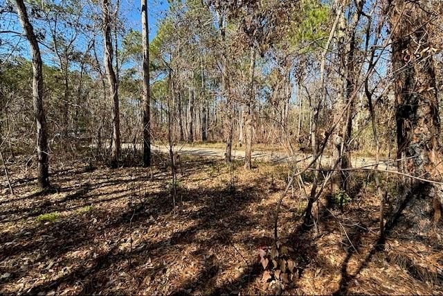 Land Near Water Access