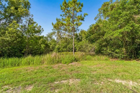 Heavily Wooded Home Site