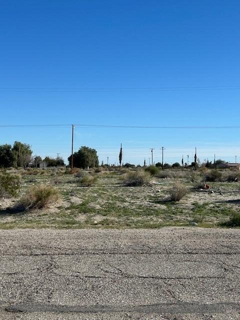 Picture 5