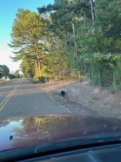 Wooded Land in Oxford, MS