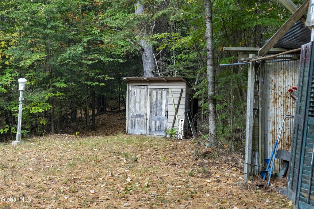 Picture 8