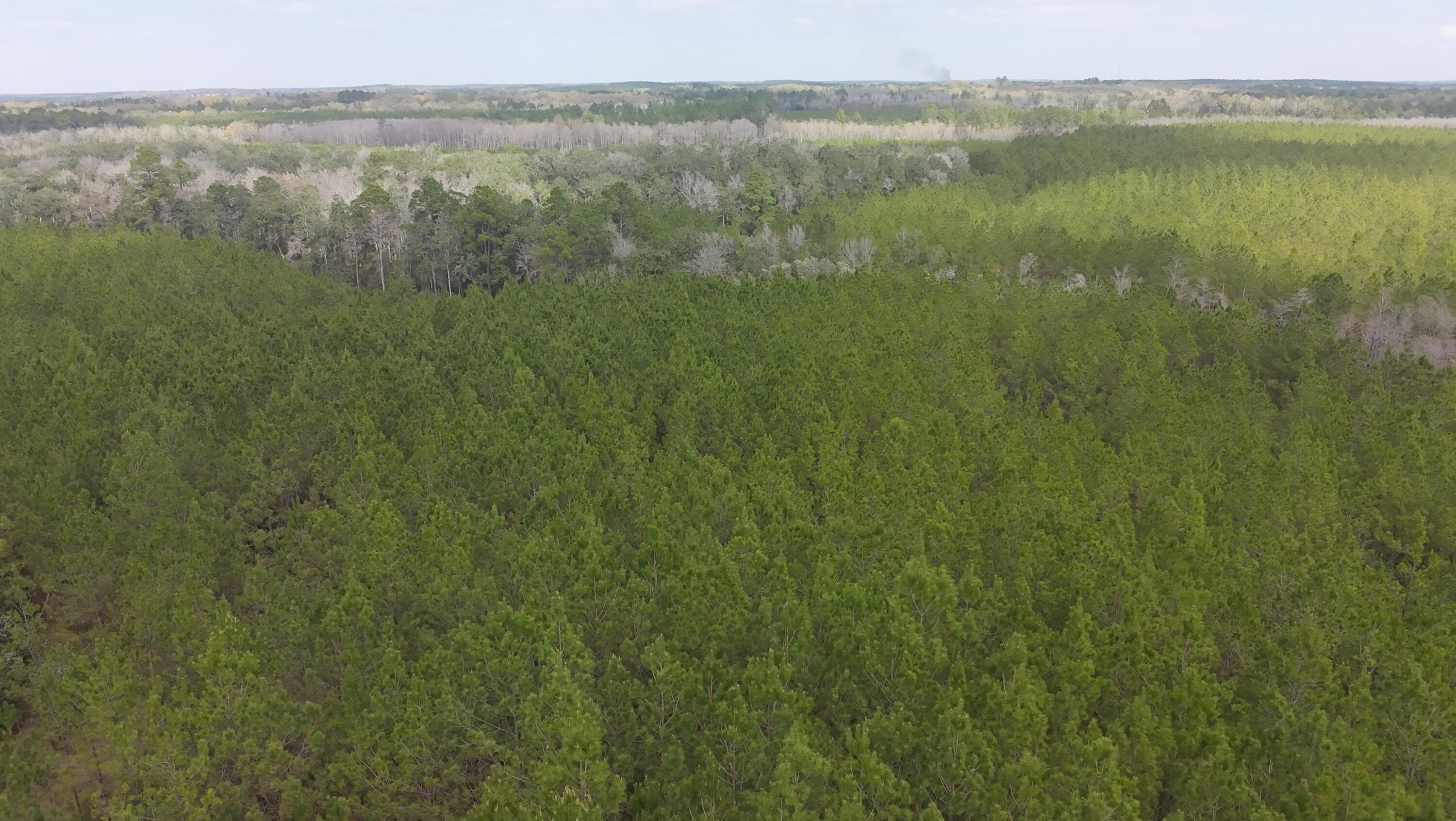 37 Acres of Prime Land