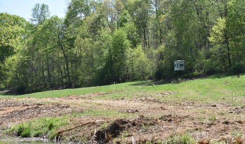 54-Acre Hickman County Land Tract