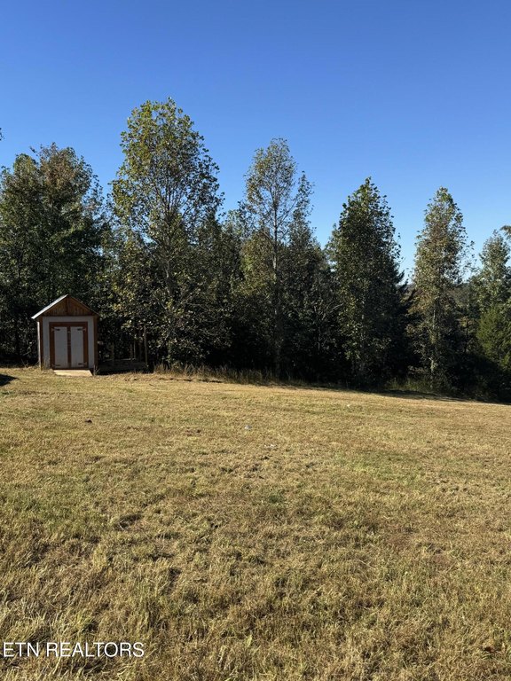 Picture 16