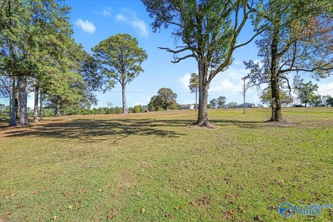 Land, Cullman, AL