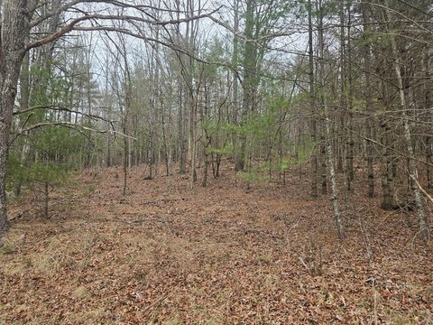 Residential Land in Fries, VA