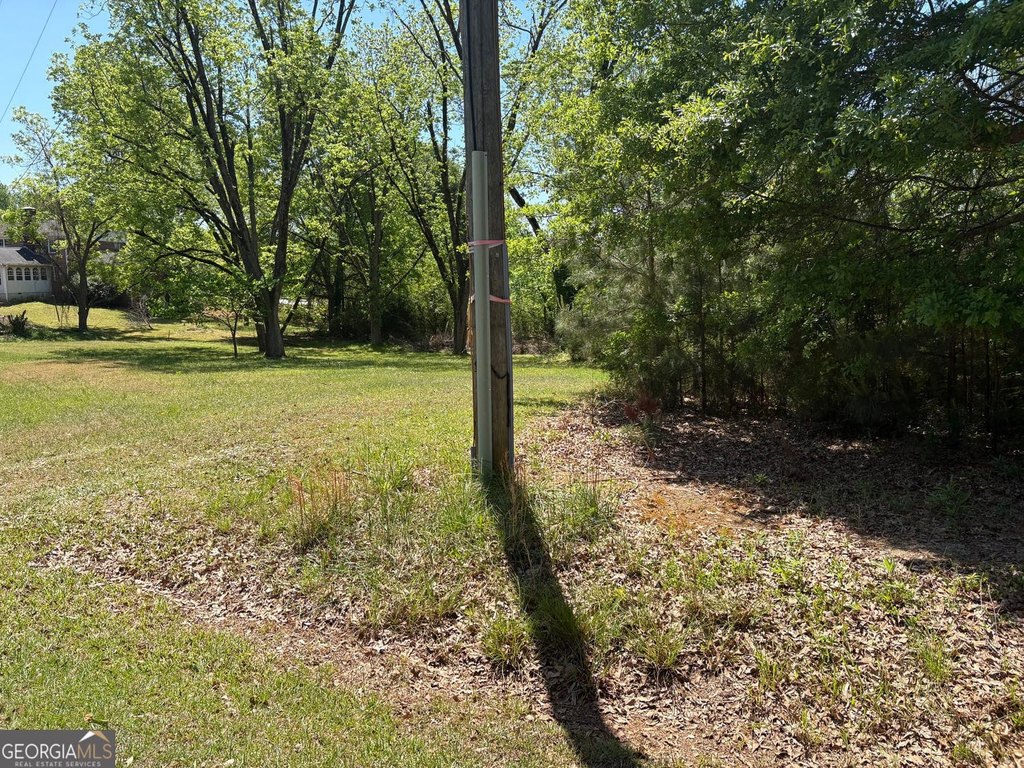 Picture 11