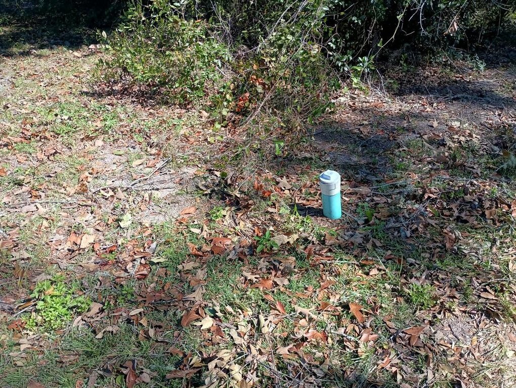 Picture 3