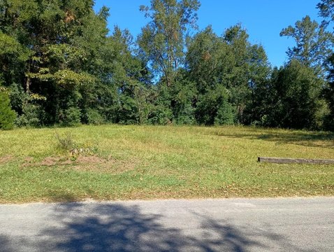 Land, Wewahitchka, FL