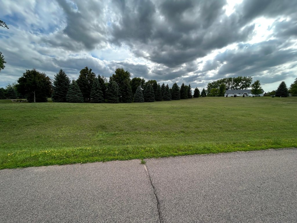 Picture 7