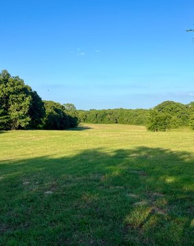 Recreational Hunting and Pasture Land