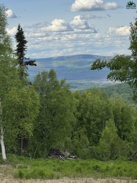 Large Buildable Lot with Potential