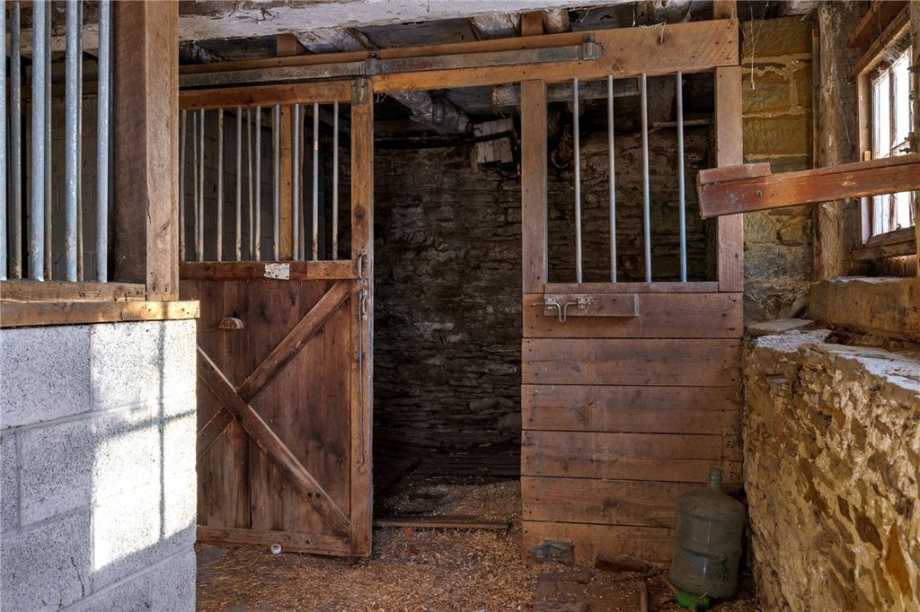 Picture 43