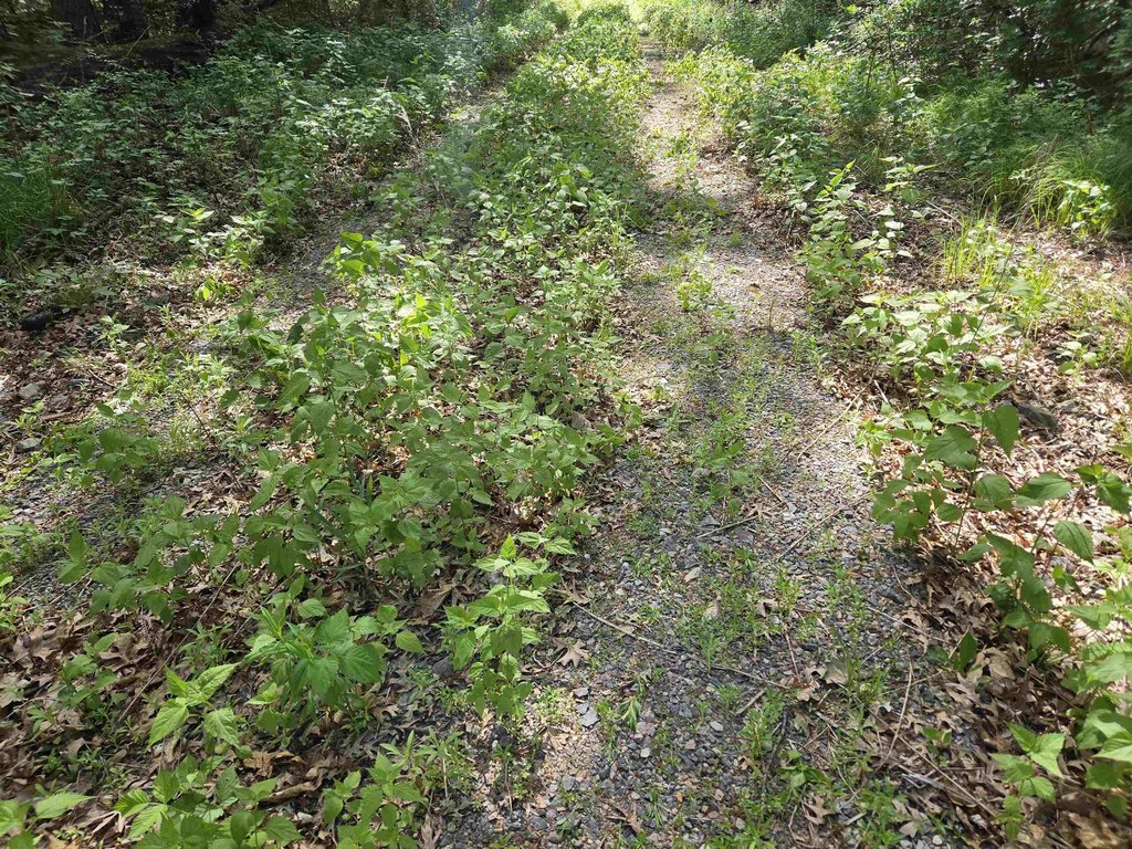 Picture 22