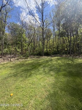 Wooded Lot Near Local Attractions