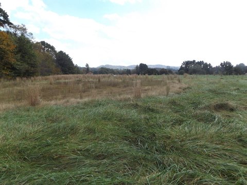 Land, Woodlawn, VA