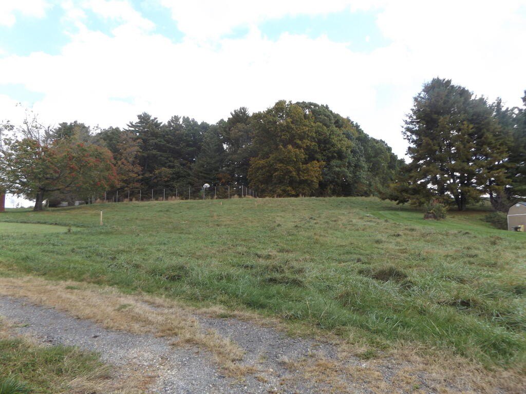Picture 6