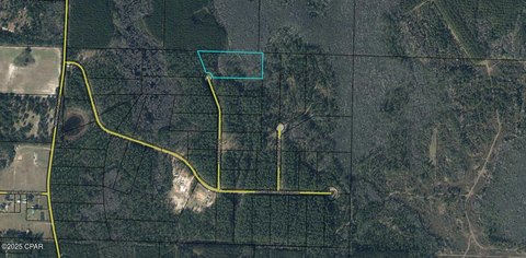 Vernon, FL Wooded Acreage