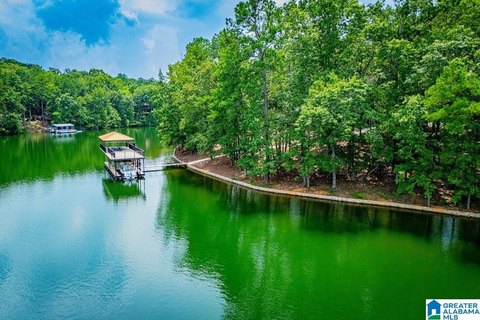 LAND - LINEVILLE, AL
